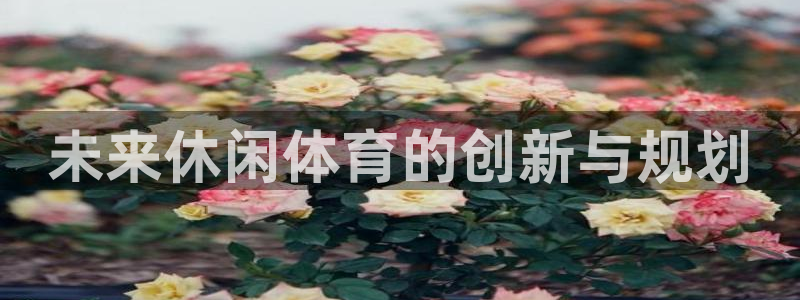 未来休闲体育的创新与规划