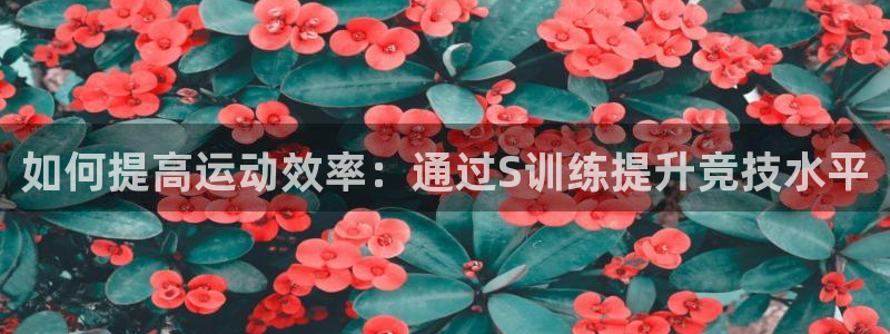 如何提高运动效率：通过S训练提升竞技水平